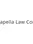Borden Domina Webb Litigation Lawyer
