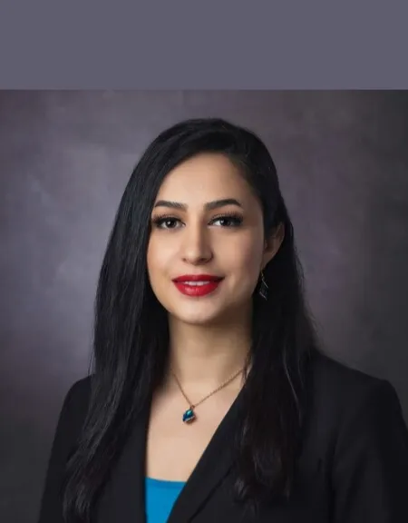 Hassani Law Firm General Practice Attorney Lawyer