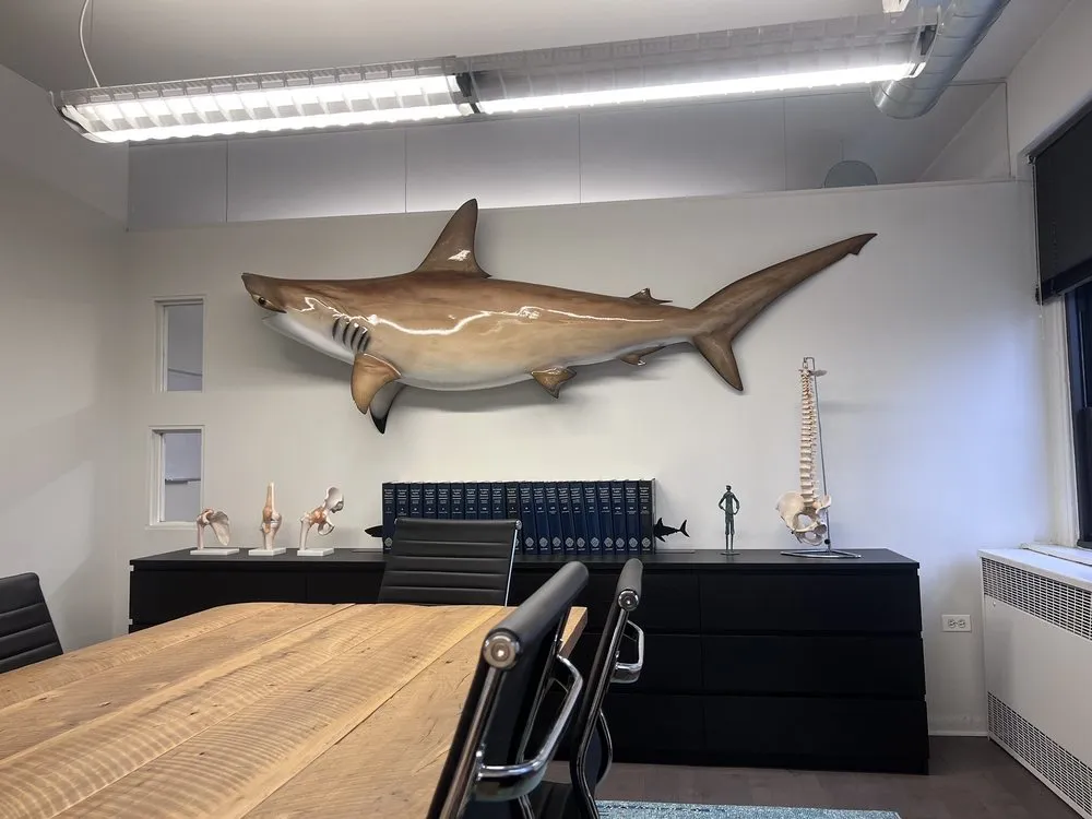 Sharks at Law Lawyer Reviews and Ratings