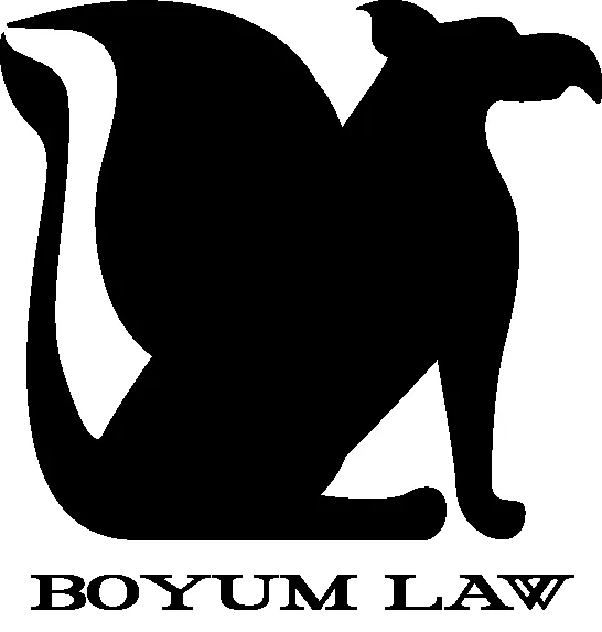 Boyum Law Firm general practice attorney Lawyer