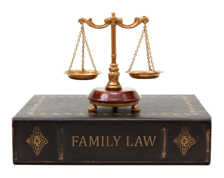 Lisa Graham Patel Lawyer Reviews and Ratings